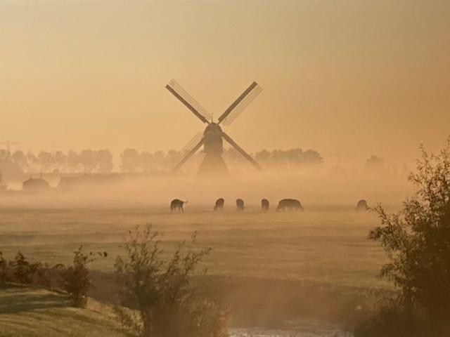 Vertoeven Bij Verhoeven Oud-Alblas Exterior foto